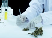 Фармацевтичний інгредієнт потрібно внести в Державний реєстр лікарських засобів