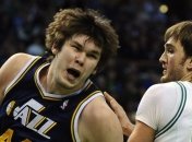 "Буллс" отчислили Фесенко