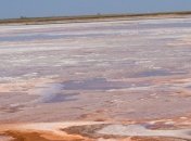 В заповеднике под Одессой высыхают знаменитые лиманы (Фото) 