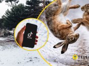 Забавный ролик набирает популярность