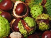 Прогноз погоды на 20 сентября: на Западе пройдут дожди с грозами