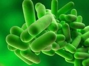 Земные микробы смогут выжить в атмосфере Красной планеты