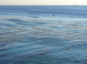 В Тихом океане пропал остров