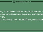 Много смеха и позитива в этот солнечный день: новые шутки
