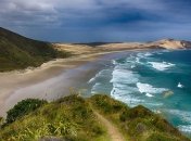 Смягчение ограничений: в Новой Зеландии отменили все карантинные меры