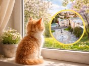 Погода в Харькове