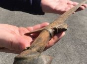 Британские ученые случайно обнаружили сенсационную находку