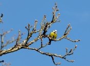 Прогноз погоды в Украине