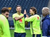 Швеция огласила состав на Евро-2016