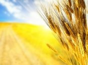 День независимости в Украине празднуют 24 августа