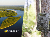 Цього гризуна виявили під час польових робіт