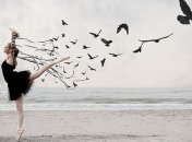 Люди и птицы могут говорить между собой: доказано учеными