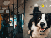 На Волині виник скандал через собаку пасажира в громадському транспорті