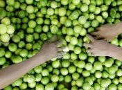 6 достоинств лайма