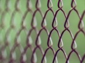 Смягчение карантина: Литва и Польша частично открыли границы