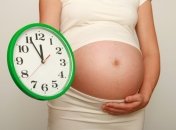 Матрицы рождения: путь героя