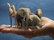 Каждый пятый вид под прицелом: нелегальный рынок торговли животными стал одним из самых крупных в мире