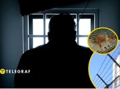 В одній із українських в'язниць виявили низку правопорушень