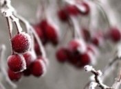 Синоптики рассказали, какой погоды украинцам ждать на Рождество