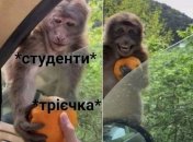 "Хорошо!" сказал профессор и испортил студенту красный диплом: веселые шутки про учебу в ВУЗе