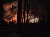 Літак упав і спалахнув: вогонь охопив площу в 100 "квадратів"