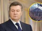 Что произошло с домом Януковича в Енакиево