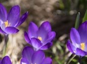 Погодные сюрпризы: где ожидать дождь с мокрым снегом