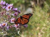 Много сюрпризов: синоптик рассказал о погоде в августе 