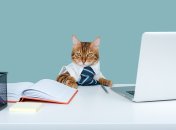 Тиждень буде не найкращим для Овнів, Близнюків, Левів, Скорпіонів та Водоліїв