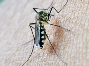 Італійці з провінції Феррара мають імунітет до Covid-19