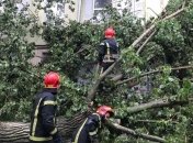 В Украине из-за непогоды 1-2 июля обесточен 601 населенный пункт