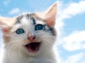 Позитивний гороскоп на березень 2023 року