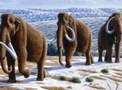 "Воскрешенные" гены пролили свет на причины вымирания мамонтов