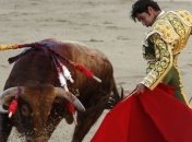 Матадор из Испании погиб от удара быка на фестивале во Франции