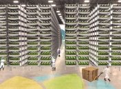 AeroFarms станет крупнейшей вертикальной фермой в мире