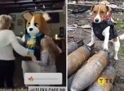 Пес Патрон на вибухівці та аніматор у його костюмі