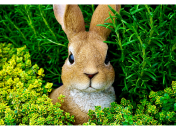 История возникновения пасхального кролика