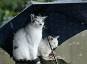 В Украину идет холодный атмосферный фронт