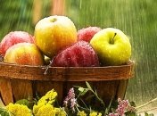 Погода в Украине 7 июля: небольшое похолодание с дождями