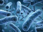 Ученые нашли новую потенциальную супербактерию