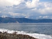 Ученые обнаружили 500 неизвестных ранее микроорганизмов 