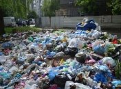 Европа разрабатывает проект мусороперерабатывающего завода для Прикарпатья 