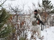 Тишина в АТО: ни одного выстрела за день