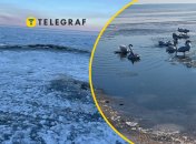 Водойма неймовірно виглядає взимку