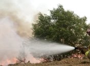 Лесные пожары в Португалии взяты под контроль