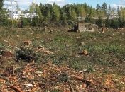 В Житомирской области незаконно вырубили деревья почти на 15 млн грн 