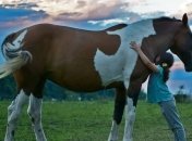 Топ милих картинок до Дня обіймів