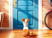 Стоит ли смотреть мультфильм «Тайная жизнь домашних животных»