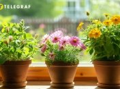 Деякі квіти залучають в дім багатство та удачу (зображення створено за допомогою ШІ)