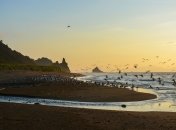 Росіянин проплив 20 кілометрів по морю, щоб втекти до Японії